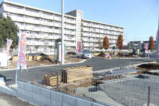 Other local. Local Photos