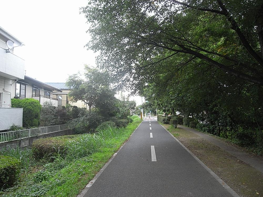 Local photos, including front road