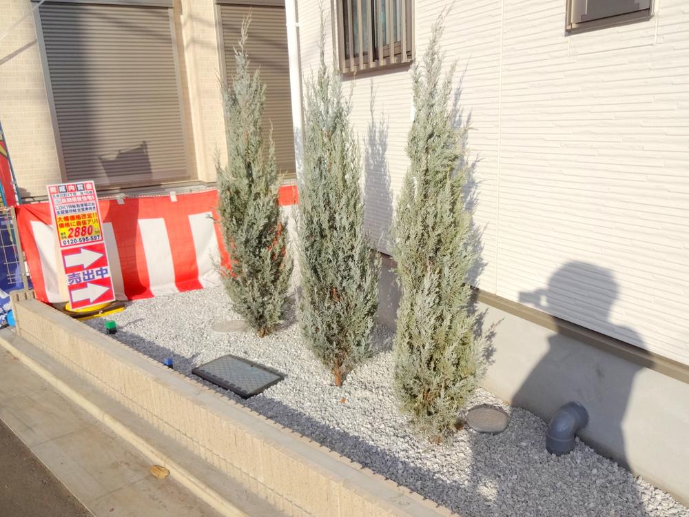 Other local. Local (12 May 2013) Shooting