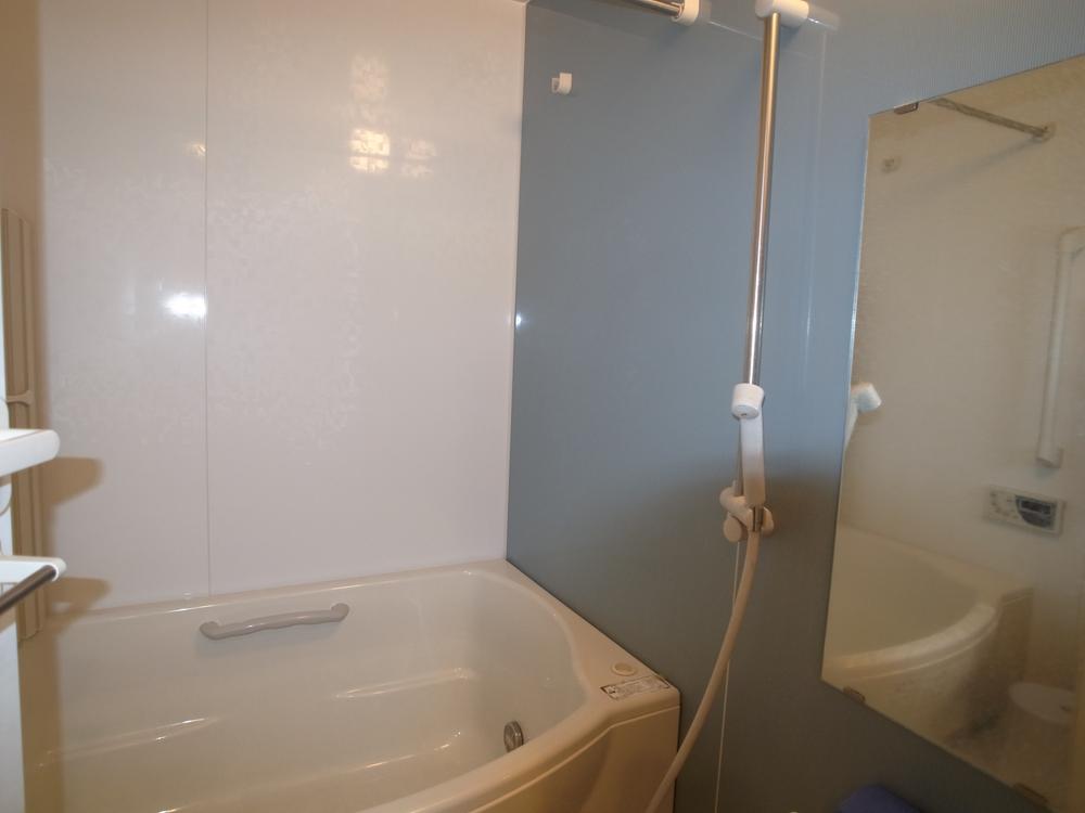 Bathroom. Indoor (10 May 2013) Shooting