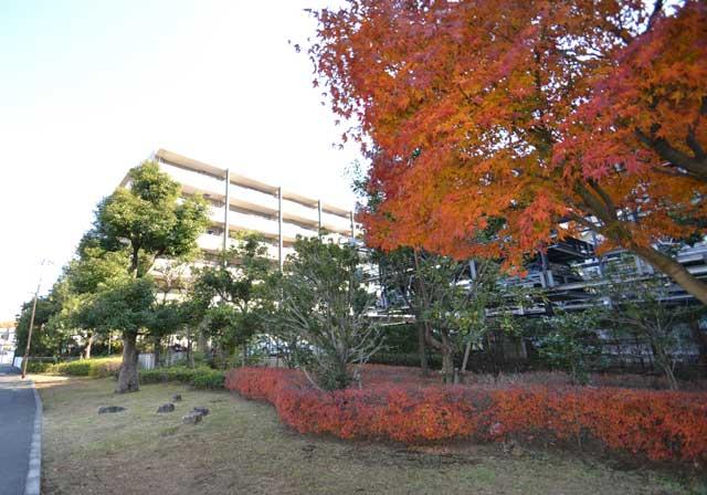 Local appearance photo. Local (12 May 2013) Shooting