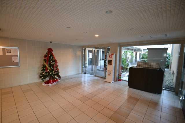 Entrance. Common areas