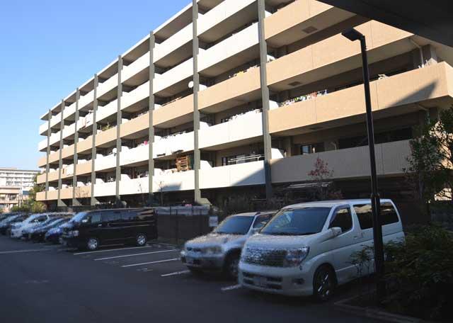 Local appearance photo. Local (12 May 2013) Shooting