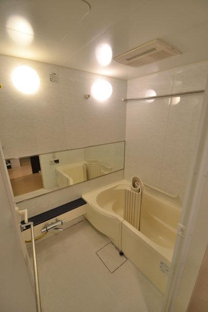 Bathroom. Indoor (12 May 2013) Shooting