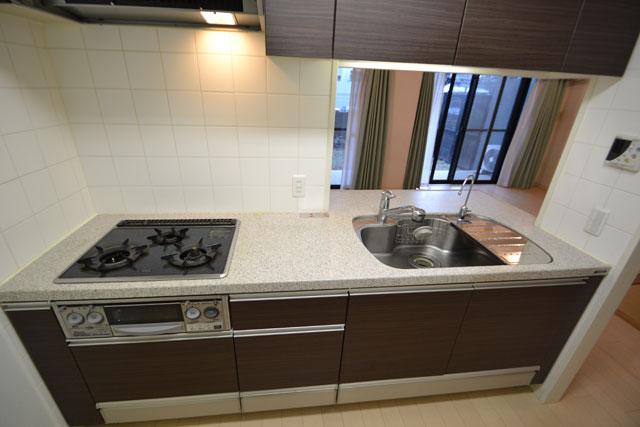 Kitchen. Indoor (12 May 2013) Shooting