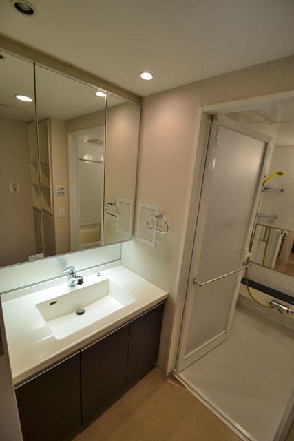 Wash basin, toilet. Indoor (12 May 2013) Shooting