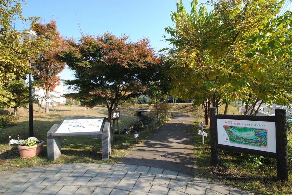Streets around. Forest of the lower house part ruins discovered