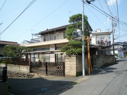 Local land photo. Appearance (1)