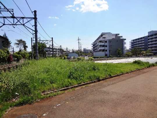 Local land photo. Shooting from the northwest side