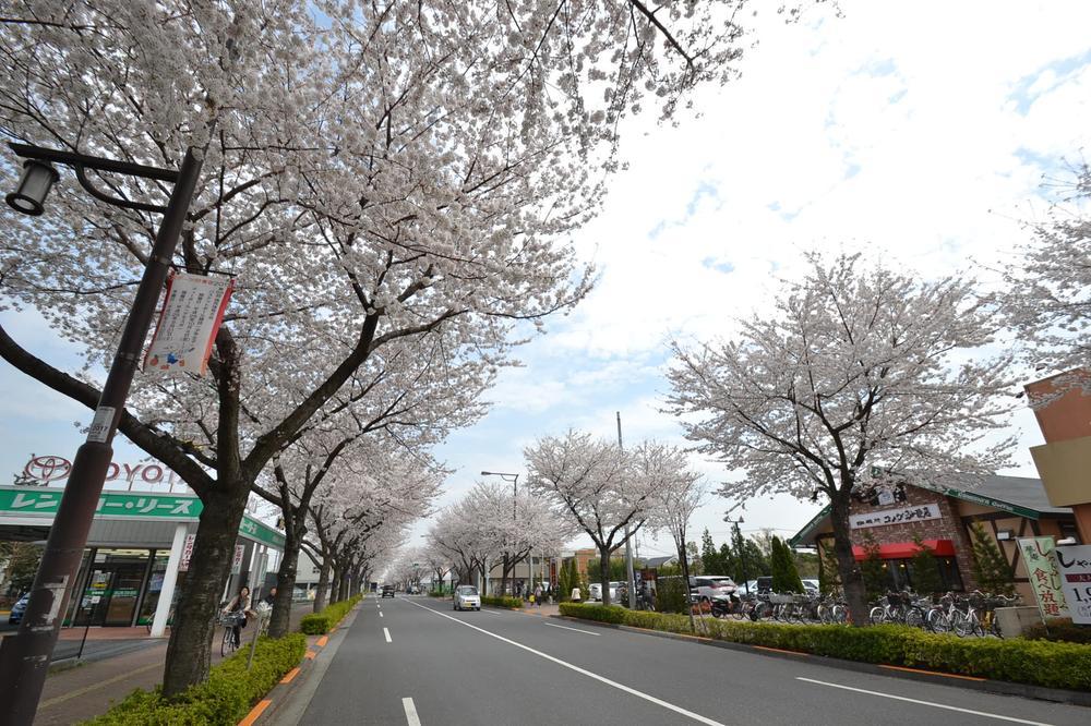 Other Environmental Photo. Higashimurayama Station Sakura Street