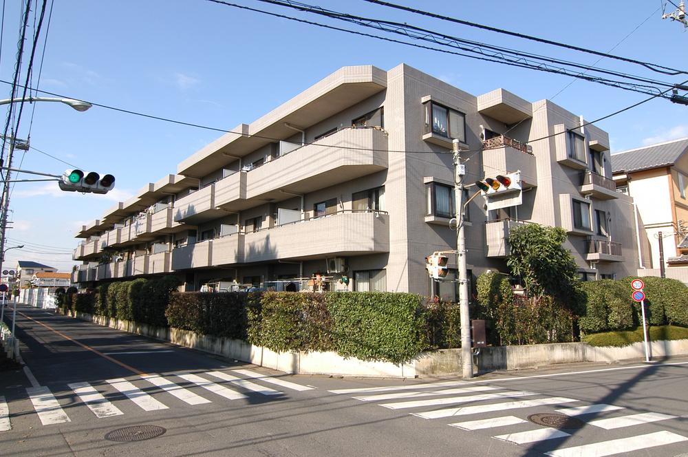 Local appearance photo