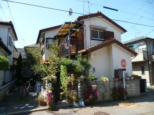 Local land photo. Appearance 1