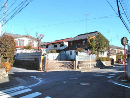 Local land photo. appearance