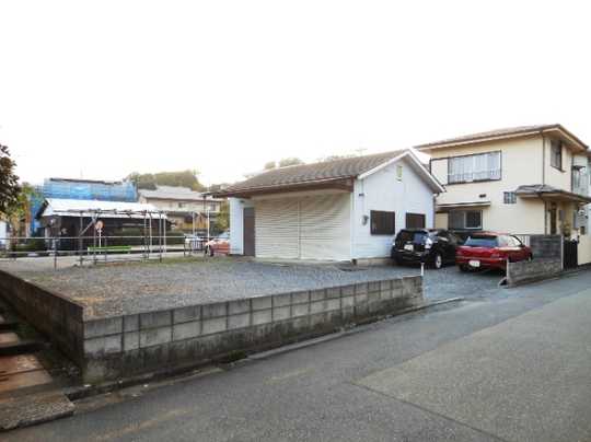 Local land photo. Appearance (1)