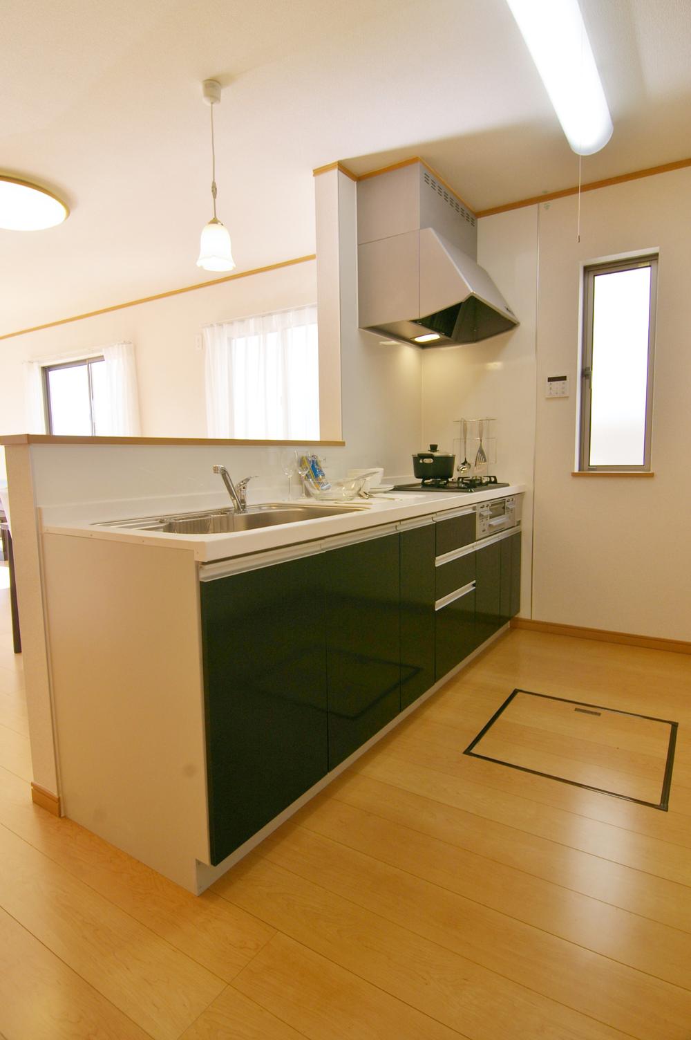 Kitchen. Indoor (12 May 2013) Shooting model room