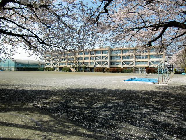 Primary school. Municipal No. 4 1035m up to junior high school