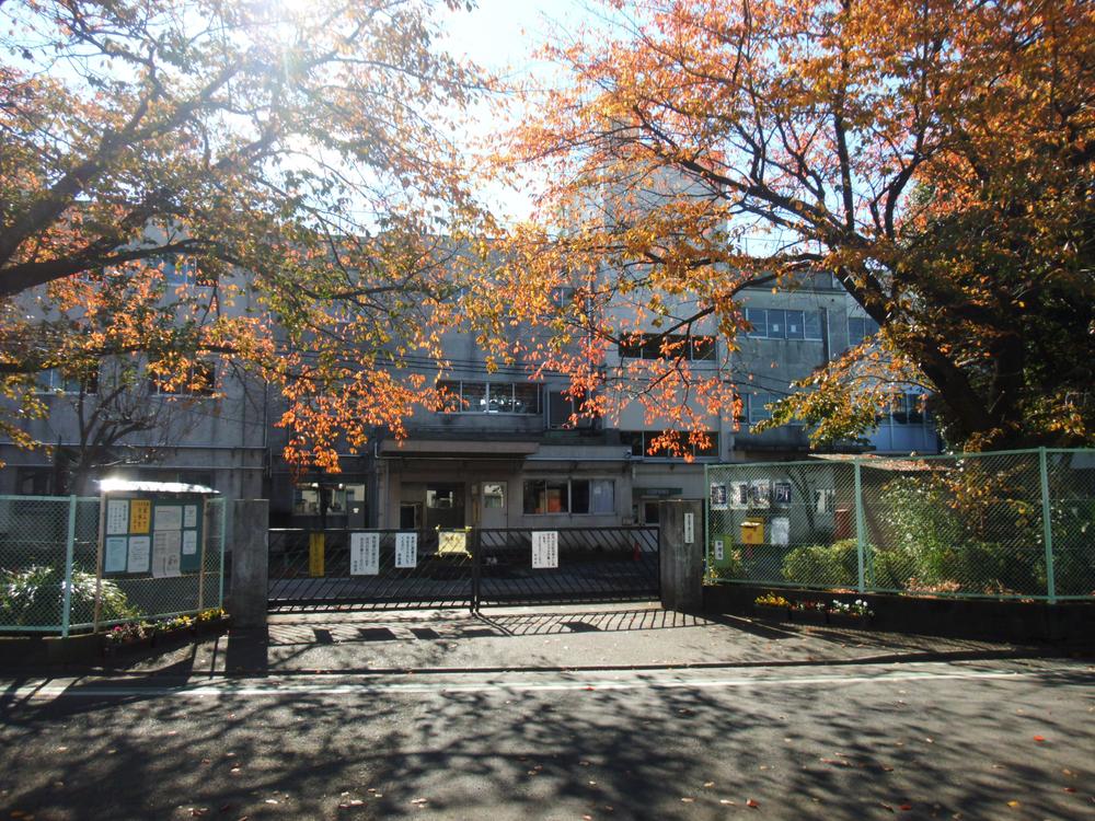 Primary school. Sixth to elementary school 397m