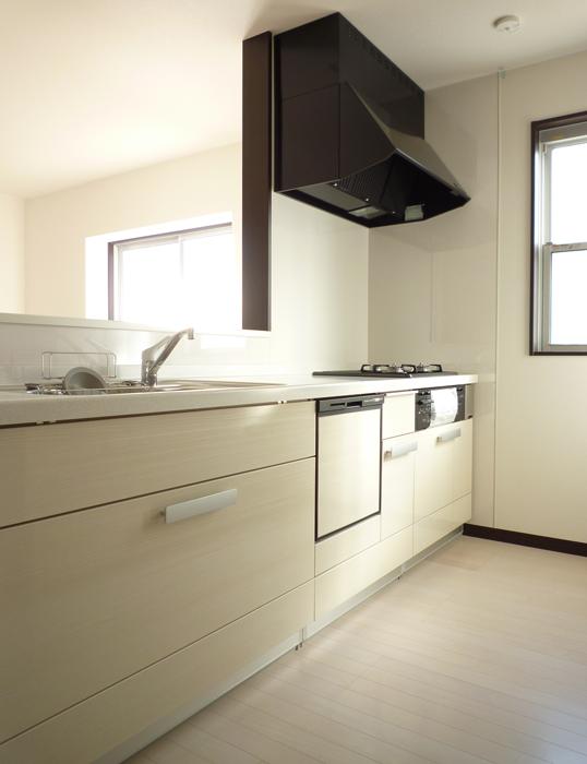 Kitchen. Indoor (11 May 2013) Shooting