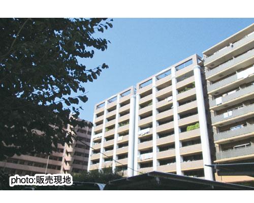 Local appearance photo. Local (11 May 2013) Shooting