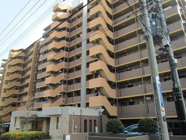 Local appearance photo. Local (11 May 2013) Shooting