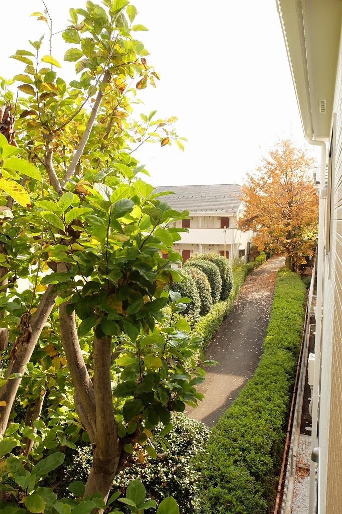 View photos from the dwelling unit