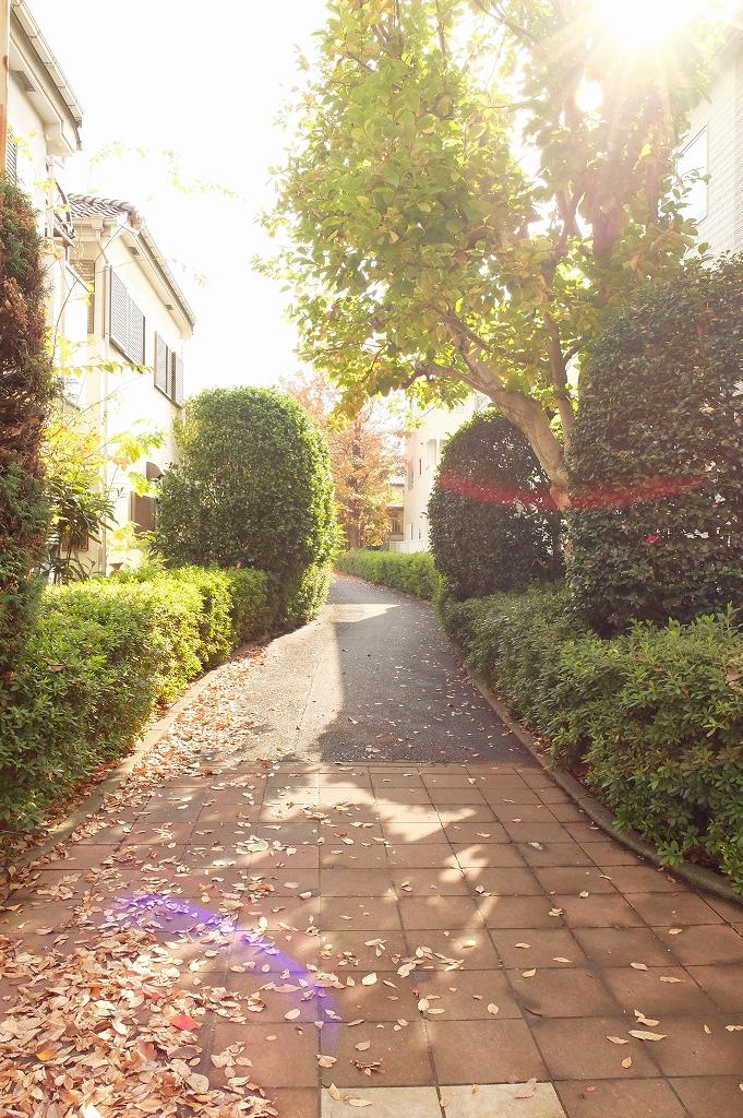 Local photos, including front road