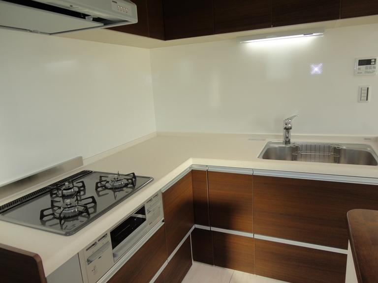 Kitchen. Indoor (11 May 2013) Shooting