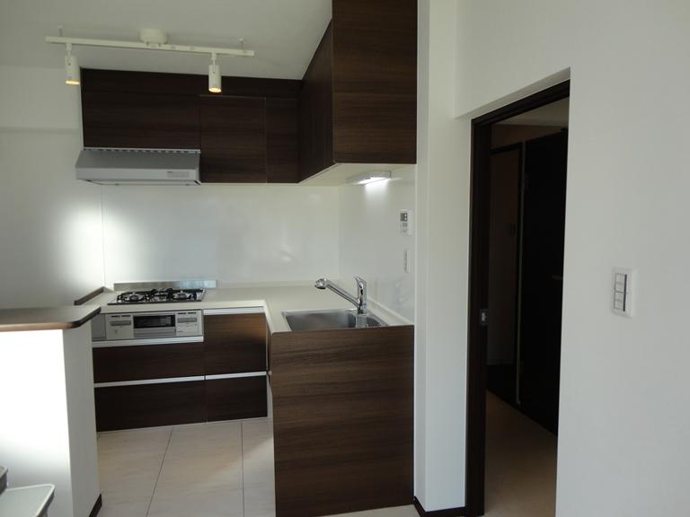 Kitchen. Indoor (11 May 2013) Shooting