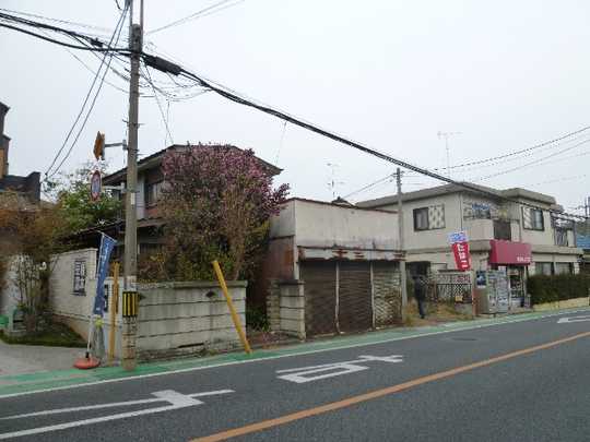 Local land photo. Appearance (1)