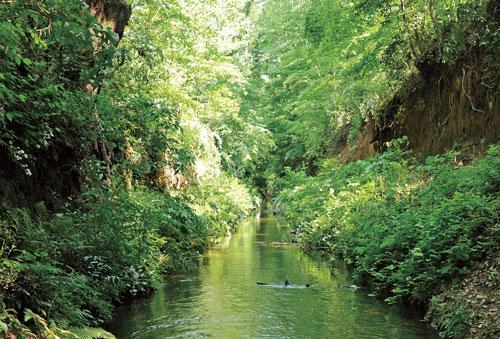 park. Convenience and rich living environment attractive blessed with green urban functions. Is familiar nature of the seasons lush four seasons, Tamagawa 7-minute walk from the green road.