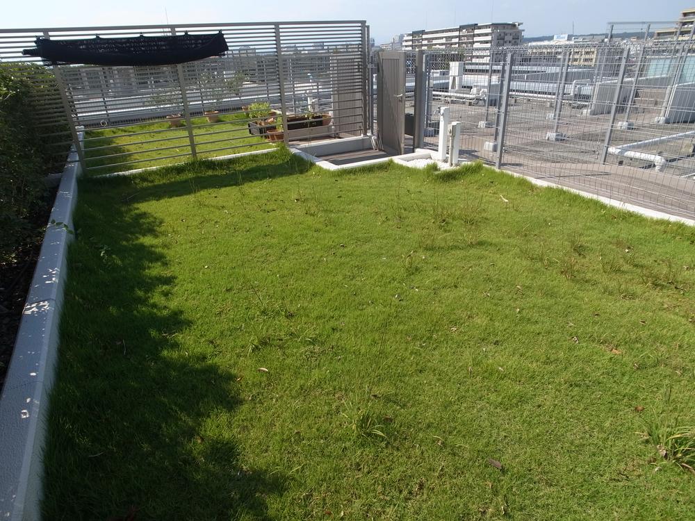 Garden. Local (10 May 2013) Shooting