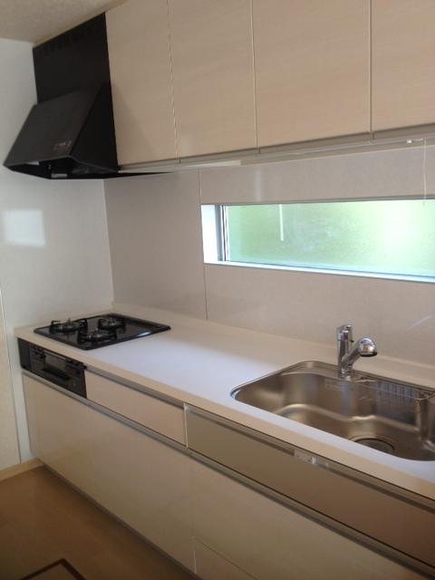 Kitchen. Indoor (10 May 2013) Shooting