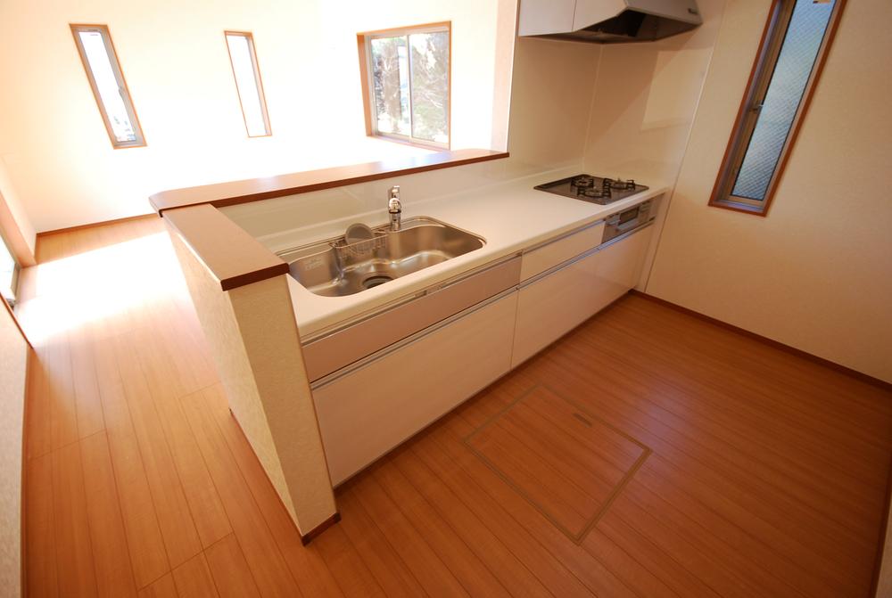 Kitchen. Indoor (11 May 2013) Shooting