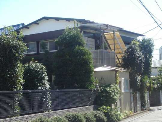 Local land photo. Appearance (1)