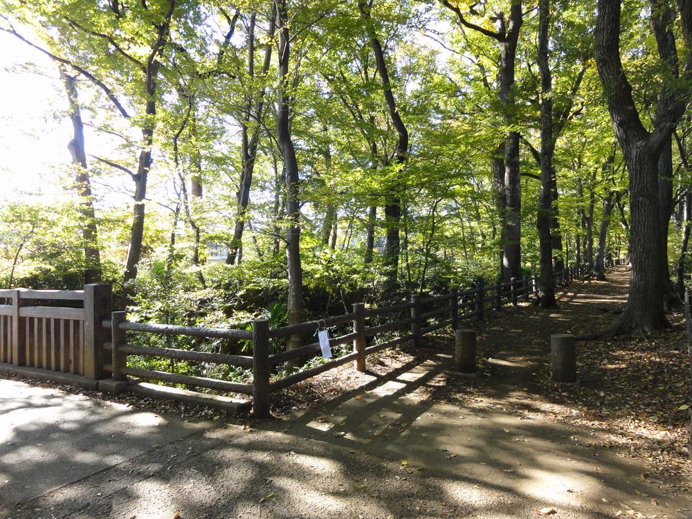 Other local. Local (11 May 2013) Shooting