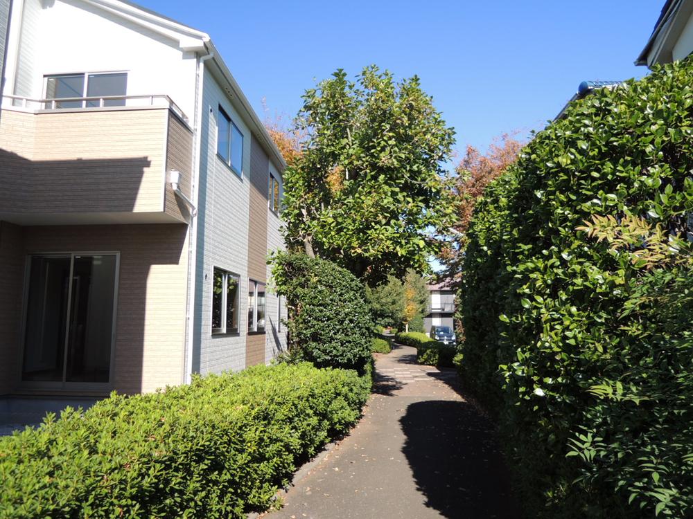 Local appearance photo. Local east side of the green road! 