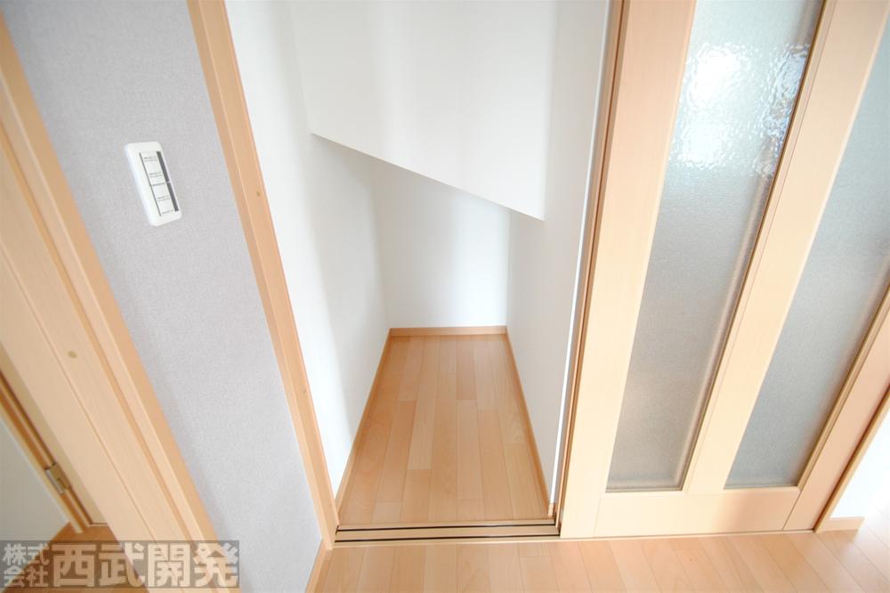 Other introspection. Living stairs