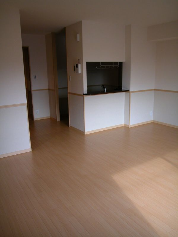 Other room space. South-facing bright living