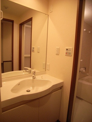 Washroom. Storage washbasin