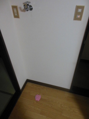 Other Equipment. Washing machine in the room