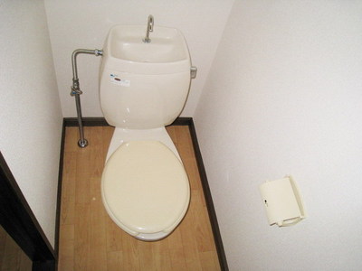 Toilet. Toilet