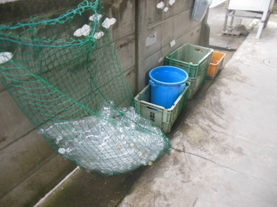 Other common areas. Garbage Storage