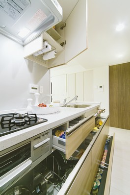 To reflect the comments received by Mrs. monitor conference "MO + KITCHEN" (Mott kitchen). It was a compact rectifier plate washable in the sink "Very Clean Food", "Sink before kitchen knife Tray", Idea-packed, such as "Magurakku"