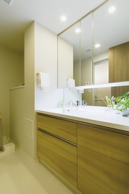 Vanity is asked to bowl on one side, Secure a work space. Storage that take advantage of the under bowl is convenient thing is easy to remove. Or have a dryer hook to the three-sided mirror back storage, Or it comes with a garbage bag pocket under the counter storage door ..., It is overwhelming