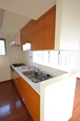 Kitchen. ☆ Please wields arm with good dishes ☆