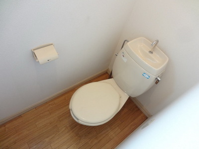 Toilet.  ☆ Your toilet ☆