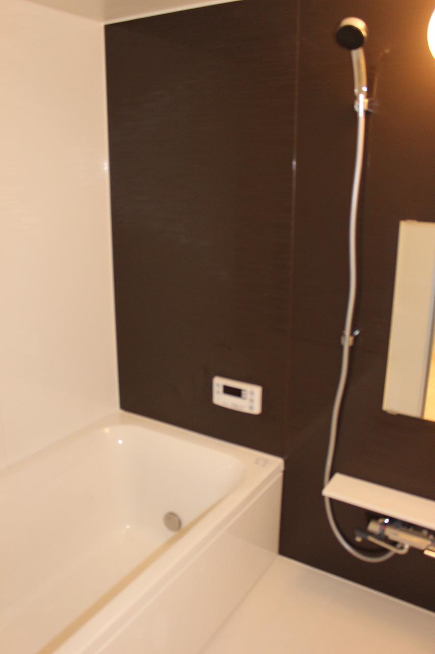 Bathroom. Indoor (12 May 2013) Shooting