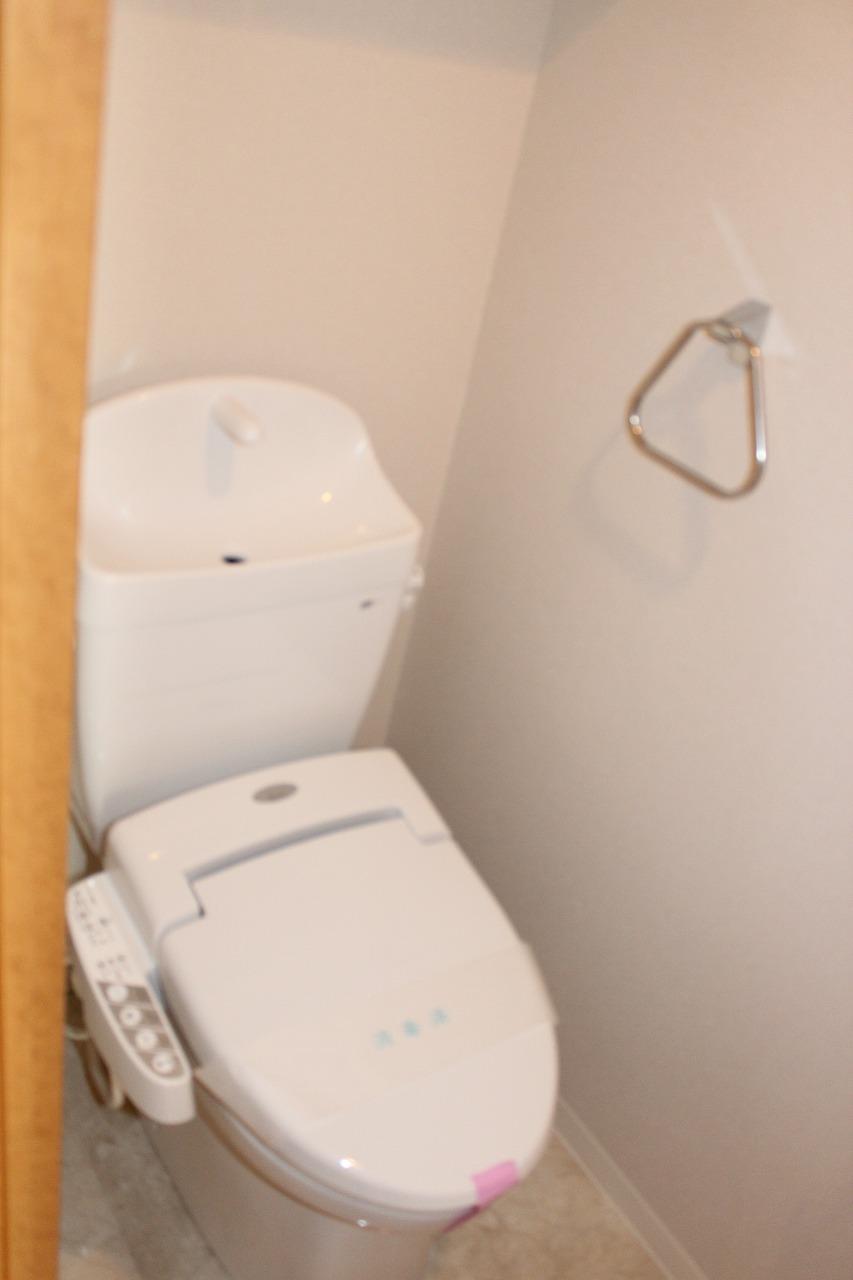 Toilet. Indoor (12 May 2013) Shooting