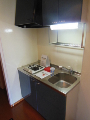 Kitchen. System Gasukitchin