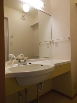 Washroom. Shampoo dresser